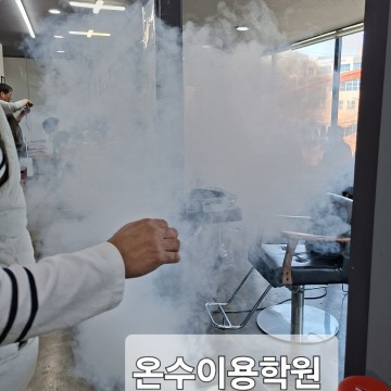 피톤치드