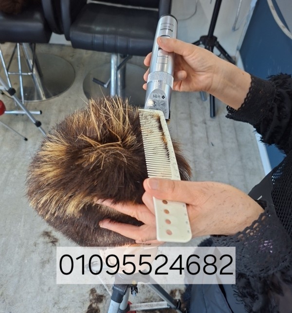 thumbab47d283f165db6ef93d75f71a36764b_1791707904_7993.jpg